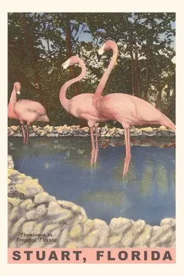 Jurnal de epocă Flamingo, Stuart, Florida - Vintage Journal Flamingos, Stuart, Florida