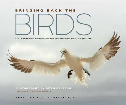 Bringing Back the Birds: Explorarea migrației și conservarea peisajelor cu păsări din întreaga Americă - Bringing Back the Birds: Exploring Migration and Preserving Birdscapes Throughout the Americas