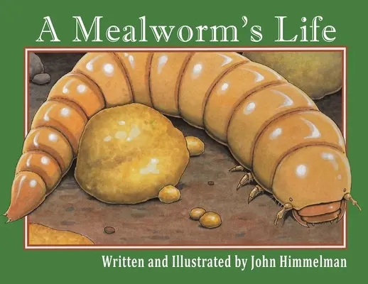 Viața unui vierme de făină (A Mealworm's Life) - A Mealworm's Life