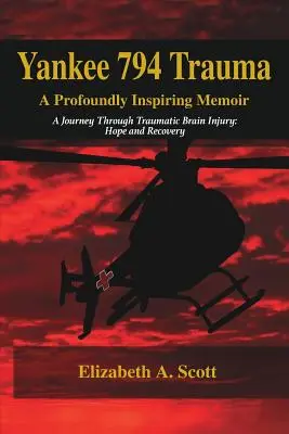 Trauma Yankee 794, un memoriu profund inspirat - Yankee 794 Trauma, a Profoundly Inspiring Memoir