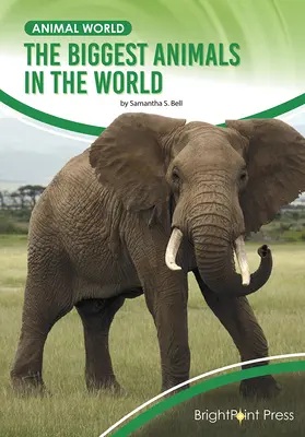 Cele mai mari animale din lume - The Biggest Animals in the World