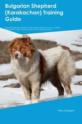 Ghid de dresaj pentru ciobănescul bulgar (Karakachan) Dresajul ciobănesc bulgar include: Trucuri pentru ciobănescul bulgar, Socializare, Dresaj, Agilitate, O - Bulgarian Shepherd (Karakachan) Training Guide Bulgarian Shepherd Training Includes: Bulgarian Shepherd Tricks, Socializing, Housetraining, Agility, O