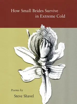 Cum supraviețuiesc miresele mici în condiții de frig extrem - How Small Brides Survive in Extreme Cold