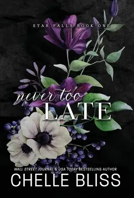 Niciodată prea târziu - Never Too Late