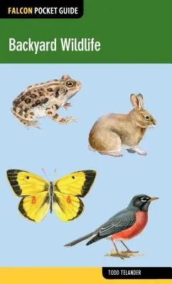 Fauna din curtea din spate - Backyard Wildlife