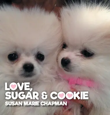 Dragoste cu zahăr și prăjituri - Love Sugar & Cookie