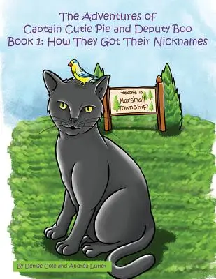 Aventurile căpitanului Cutie Pie și ale adjunctului Boo: Book 1: How They Got Their Nicknames - The Adventures of Captain Cutie Pie and Deputy Boo: Book 1: How They Got Their Nicknames