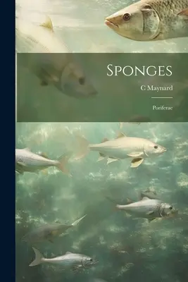 Bureți; Poriferae - Sponges; Poriferae