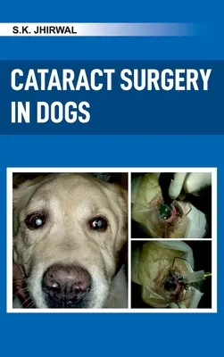 Chirurgia cataractei la câini - Cataract Surgery in Dogs