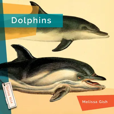 Delfinii - Dolphins