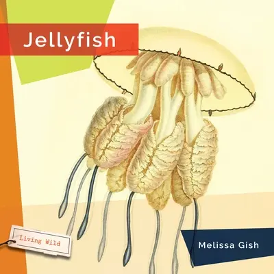 Meduze - Jellyfish