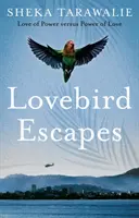 Lovebird Escapes - Dragostea de putere versus puterea de dragoste - Lovebird Escapes - Love of Power versus Power of Love
