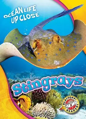 Raze Stingray - Stingrays