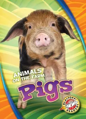 Porci - Pigs