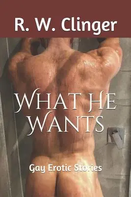 Ce Vrea El: Povești erotice gay - What He Wants: Gay Erotic Stories