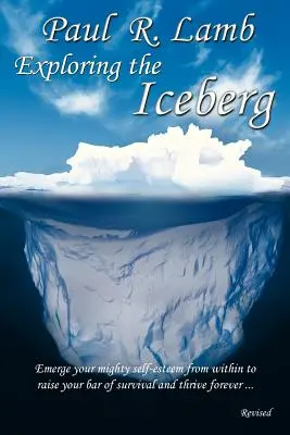 Explorarea aisbergului - Exploring the Iceberg