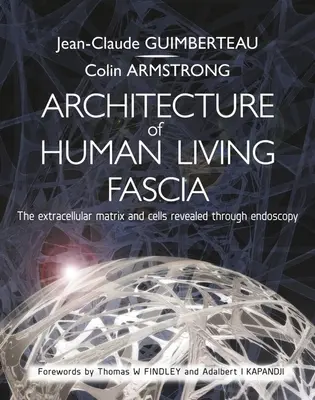 Arhitectura fasciei umane vii: Matricea extracelulară și celulele revelate prin endoscopie - Architecture of Human Living Fascia: The Extracellular Matrix and Cells Revealed Through Endoscopy