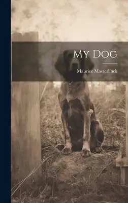 Câinele meu - My Dog