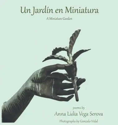 Un Jardn în miniatură - Un Jardn en Miniatura