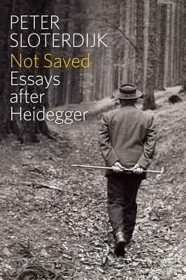 Nu salvat: Eseuri după Heidegger - Not Saved: Essays After Heidegger