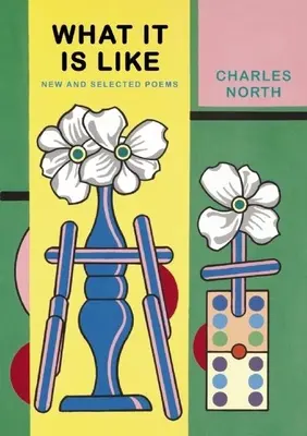 Cum este: Poezii noi și alese - What It Is Like: New and Selected Poems