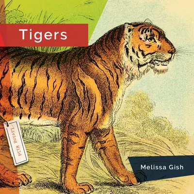Tigri - Tigers