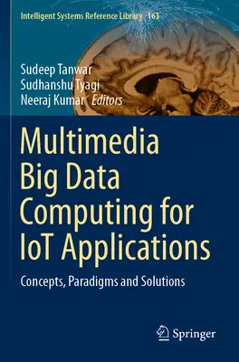 Multimedia Big Data Computing pentru aplicații Iot: Concepte, paradigme și soluții - Multimedia Big Data Computing for Iot Applications: Concepts, Paradigms and Solutions