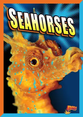 Căluți de mare - Seahorses