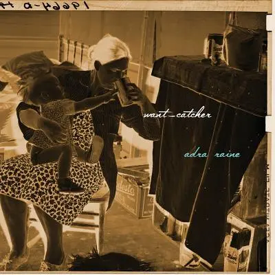 Want-Catcher: O înregistrare a scrisului însărcinată - Want-Catcher: A Record of Pregnant Writing