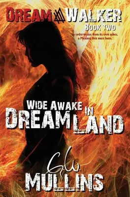 Foarte treaz în țara viselor - Wide Awake In Dream Land