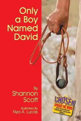 Doar un băiat pe nume David - Only a Boy Named David