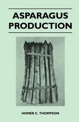 Producția de sparanghel - Asparagus Production