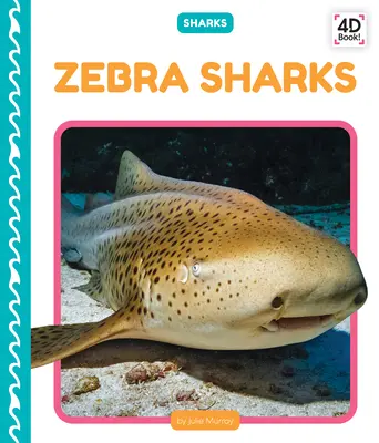 Rechini zebră - Zebra Sharks