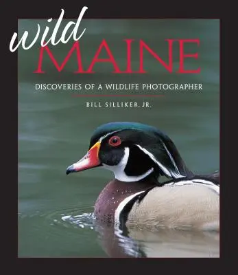 Wild Maine: Descoperirile unui fotograf de animale sălbatice - Wild Maine: Discoveries of a Wildlife Photographer