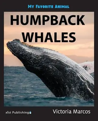 Animalul meu preferat: Balenele cu cocoașă - My Favorite Animal: Humpback Whales
