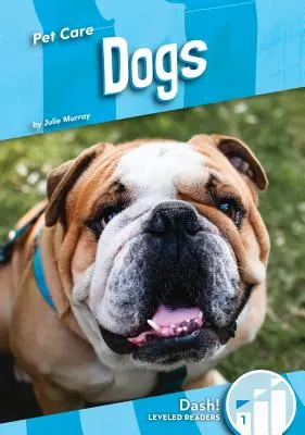 Câini - Dogs