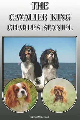 Cavalier King Charles Spaniel: Un ghid complet și cuprinzător al proprietarilor pentru: Cumpărarea, Deținerea, Sănătatea, Îngrijirea, Dresajul, Obediența, Înțelegerea - The Cavalier King Charles Spaniel: A Complete and Comprehensive Owners Guide To: Buying, Owning, Health, Grooming, Training, Obedience, Understanding