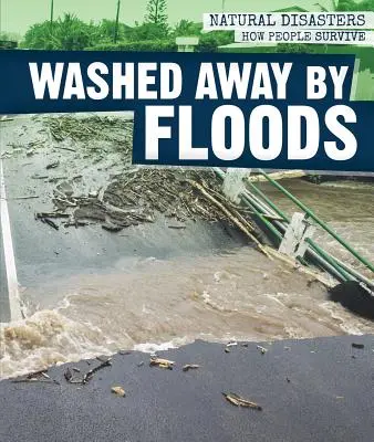 Scăpați de inundații - Washed Away by Floods