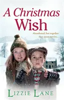 O dorință de Crăciun - A Christmas Wish