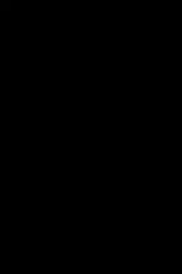 Agricultorii africani: Mediu, tehnologie, interacțiuni - African Foragers: Environment, Technology, Interactions