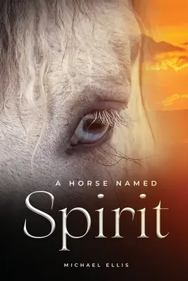 Un cal numit Spirit - A Horse Named Spirit