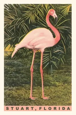 Jurnal de epocă Flamingo, Stuart, Florida - Vintage Journal Flamingo, Stuart, Florida