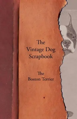 Scrapbook-ul câinelui de epocă - Boston Terrier - The Vintage Dog Scrapbook - The Boston Terrier
