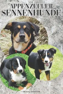 The Appenzeller Sennenhunde: Un ghid complet și cuprinzător al proprietarilor pentru: Cumpărarea, Deținerea, Sănătatea, Îngrijirea, Dresajul, Obediența, Înțelegerea și - The Appenzeller Sennenhunde: A Complete and Comprehensive Owners Guide To: Buying, Owning, Health, Grooming, Training, Obedience, Understanding and
