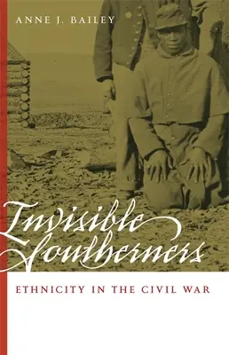 Sudicii invizibili: Etnicitatea în Războiul Civil - Invisible Southerners: Ethnicity in the Civil War