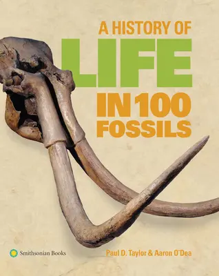 O istorie a vieții în 100 de fosile - A History of Life in 100 Fossils