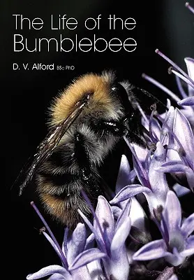 Viața bondarului (The Life of the bumblebee) - The Life of the bumblebee