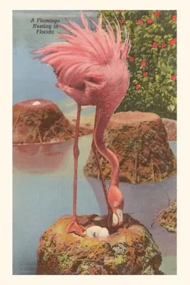 Jurnal de epocă Flamingo Nesting in Florida - Vintage Journal Flamingo Nesting in Florida
