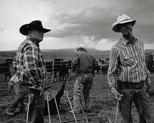 Open Range: Cowboy-ul american care se dă mare - Open Range: America's Big-Outfit Cowboy