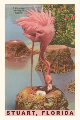Jurnal de epocă Flamingo Nesting in Stuart, Florida - Vintage Journal Flamingo Nesting in Stuart, Florida